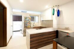 WOLSKEL ROAD (D13), Terrace #481845421